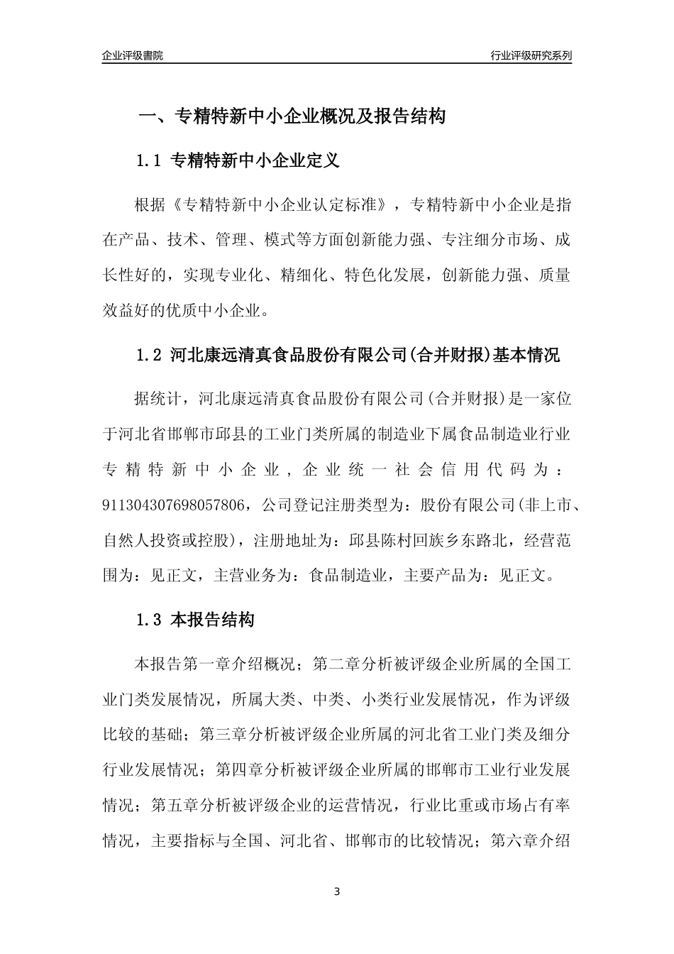 [专精特新]2022年河北康远清真食品股份有限公司(合并财报)行业竞争力评级分析报告(2023版)_第3页