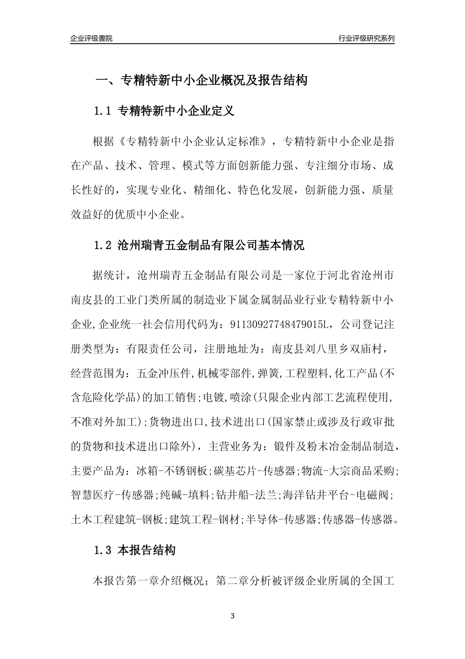 [专精特新]2022年沧州瑞青五金制品有限公司行业竞争力评级分析报告(2023版)_第3页
