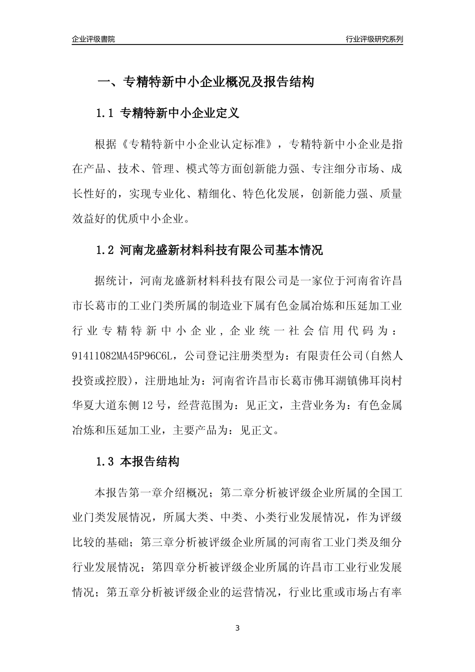 [专精特新]2022年河南龙盛新材料科技有限公司行业竞争力评级分析报告(2023版)_第3页