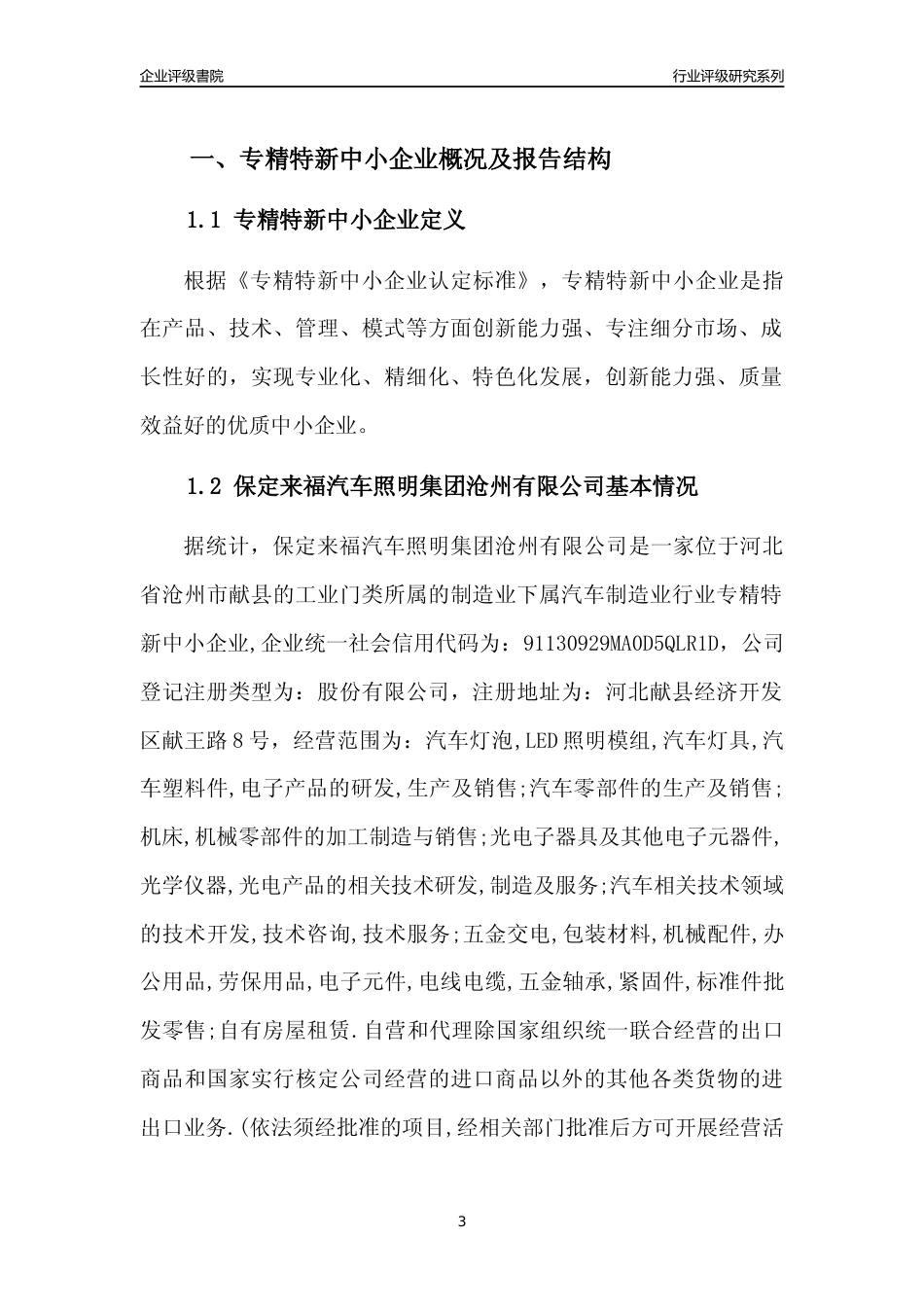 [专精特新]2022年保定来福汽车照明集团沧州有限公司行业竞争力评级分析报告(2023版)_第3页