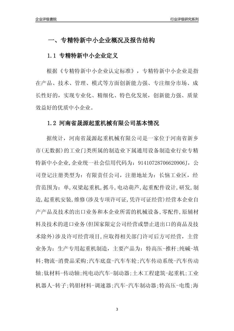 [专精特新]2022年河南省晟源起重机械有限公司行业竞争力评级分析报告(2023版)_第3页