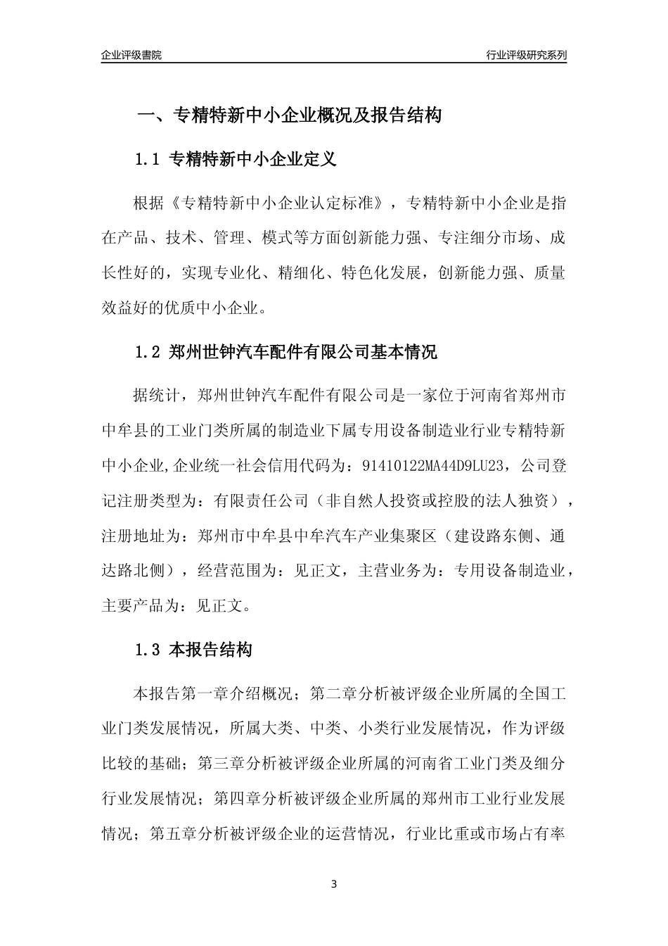 [专精特新]2022年郑州世钟汽车配件有限公司行业竞争力评级分析报告(2023版)_第3页