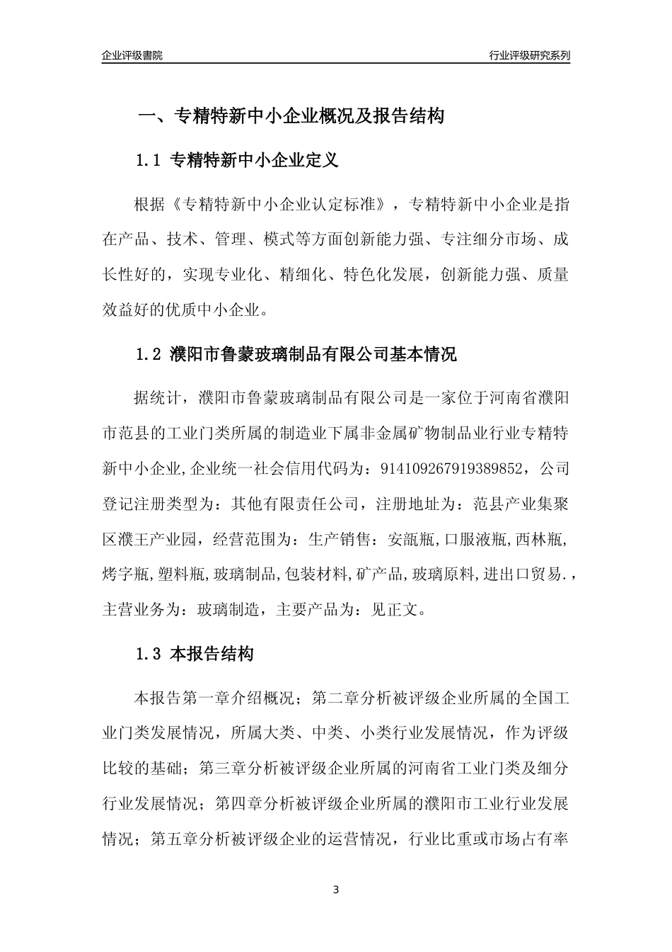 [专精特新]2022年濮阳市鲁蒙玻璃制品有限公司行业竞争力评级分析报告(2023版)_第3页
