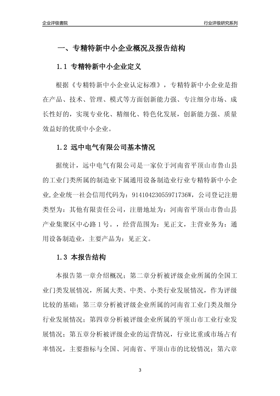 [专精特新]2022年远中电气有限公司行业竞争力评级分析报告(2023版)_第3页