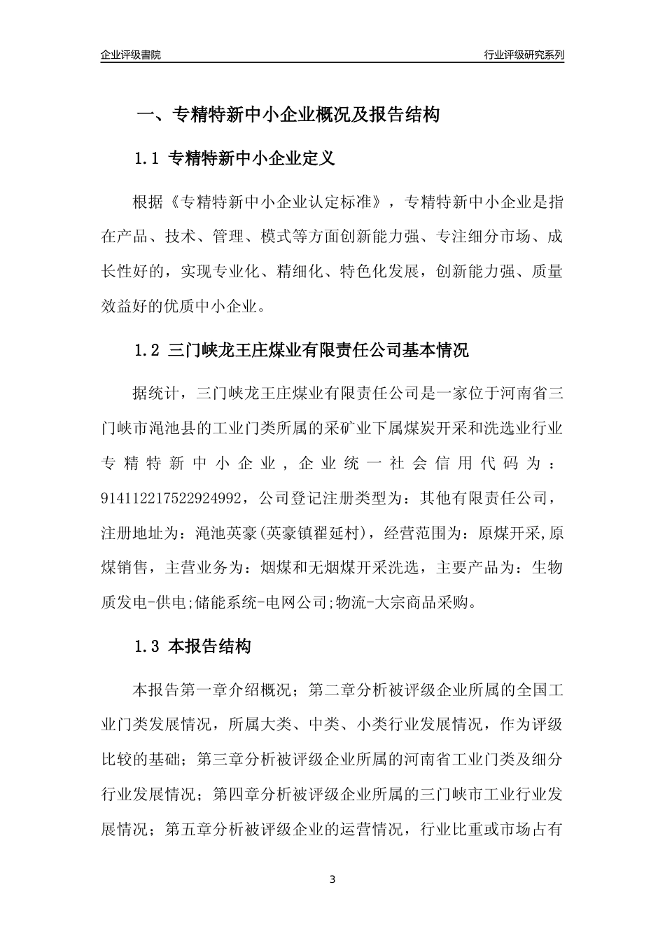 [专精特新]2022年三门峡龙王庄煤业有限责任公司行业竞争力评级分析报告(2023版)_第3页