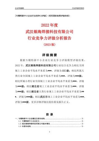 [专精特新]武汉银海焊接科技有限公司行业竞争力评级分析报告(2023版)