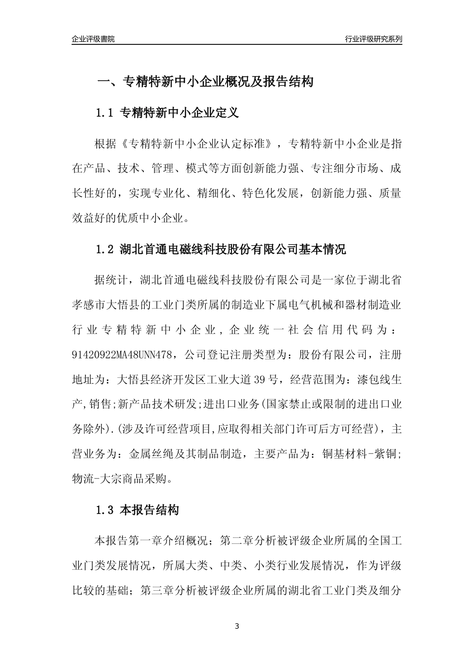 [专精特新]2022年湖北首通电磁线科技股份有限公司行业竞争力评级分析报告(2023版)_第3页