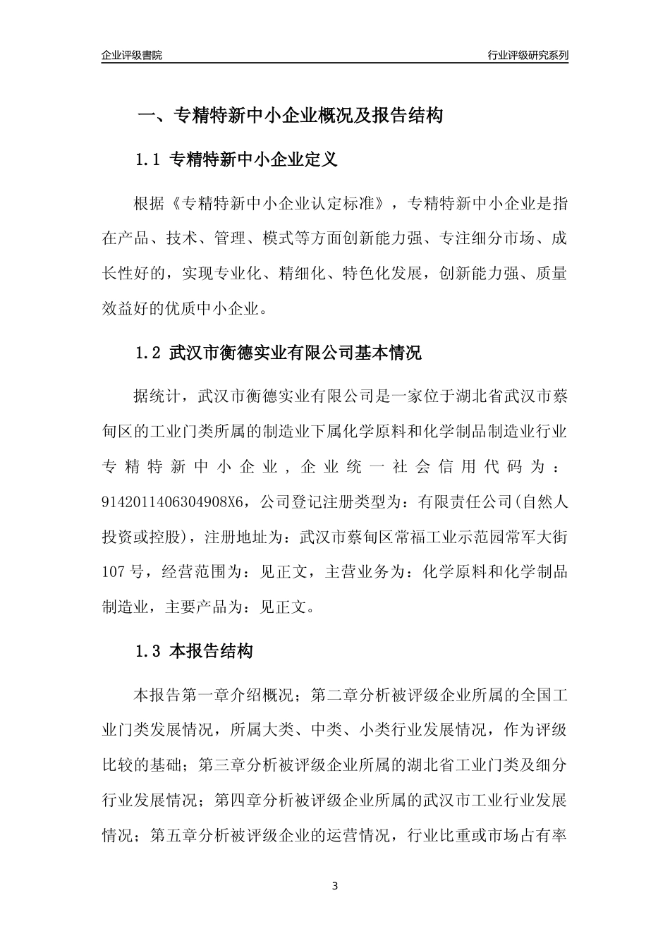[专精特新]2022年武汉市衡德实业有限公司行业竞争力评级分析报告(2023版)_第3页