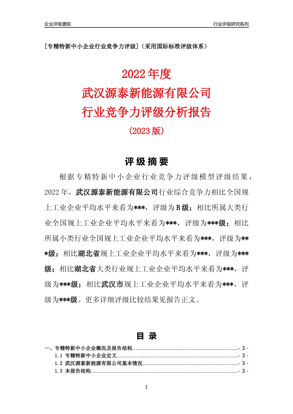 [专精特新]2022年武汉源泰新能源有限公司行业竞争力评级分析报告(2023版)_第1页