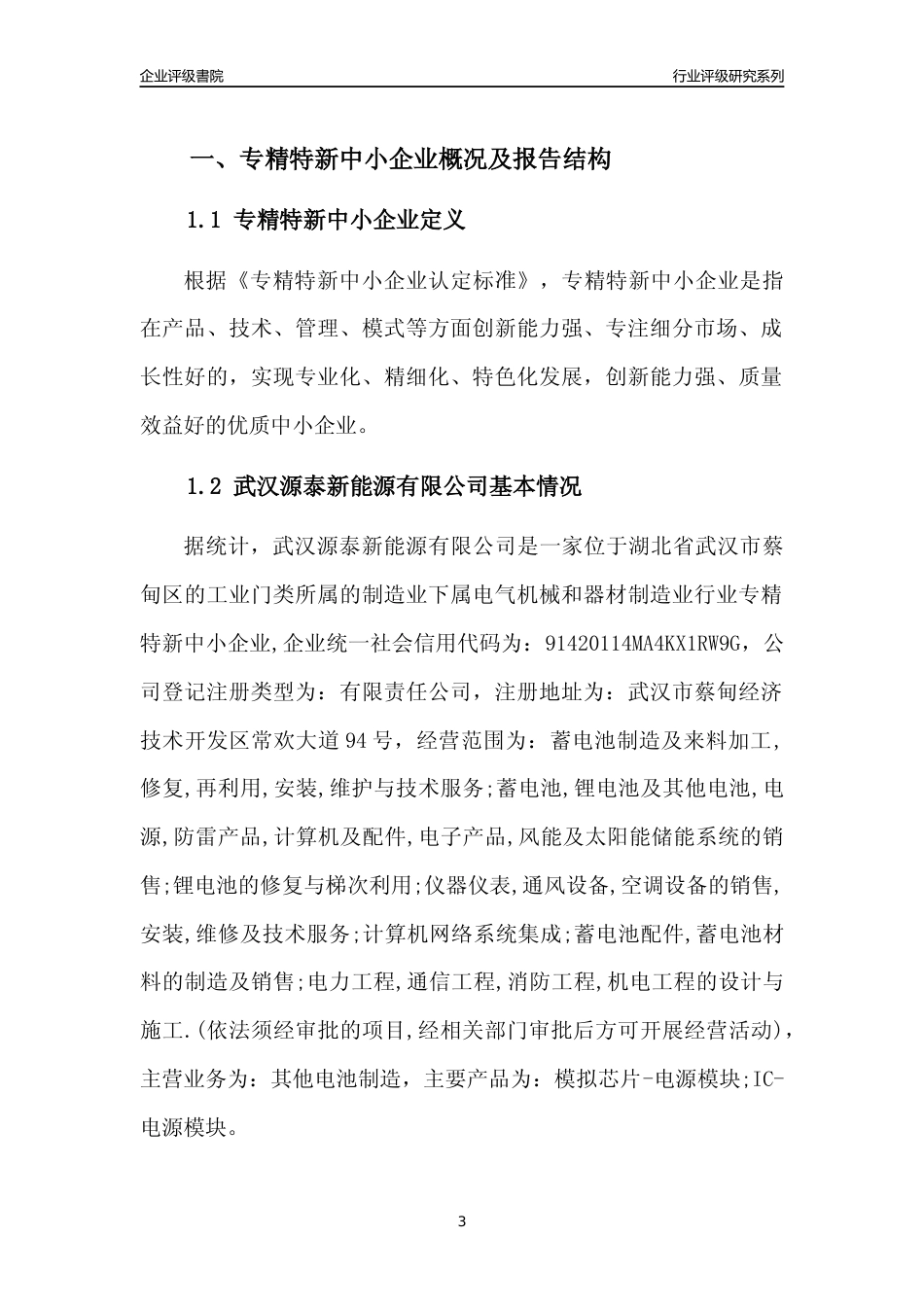 [专精特新]2022年武汉源泰新能源有限公司行业竞争力评级分析报告(2023版)_第3页