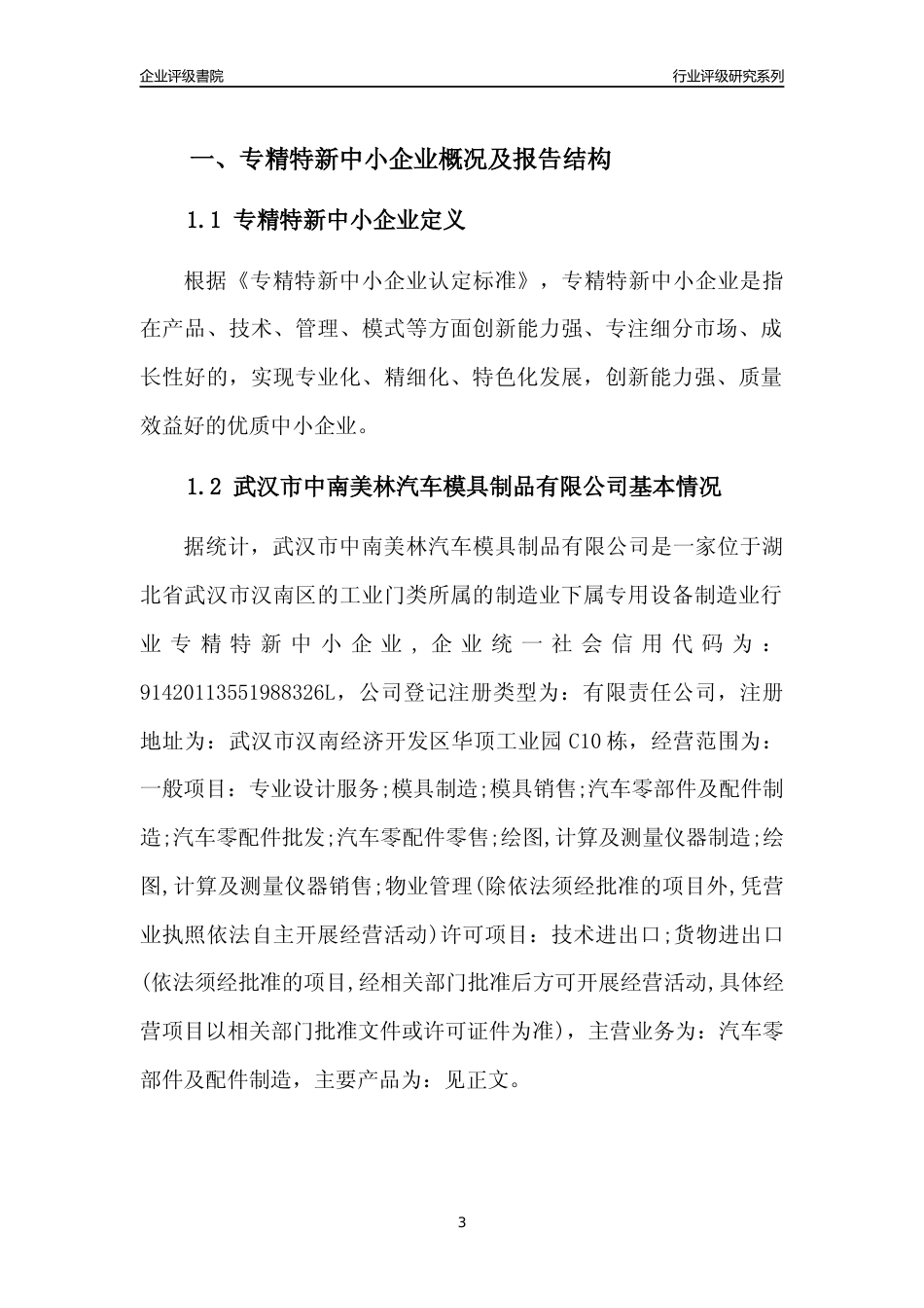 [专精特新]2022年武汉市中南美林汽车模具制品有限公司行业竞争力评级分析报告(2023版)_第3页