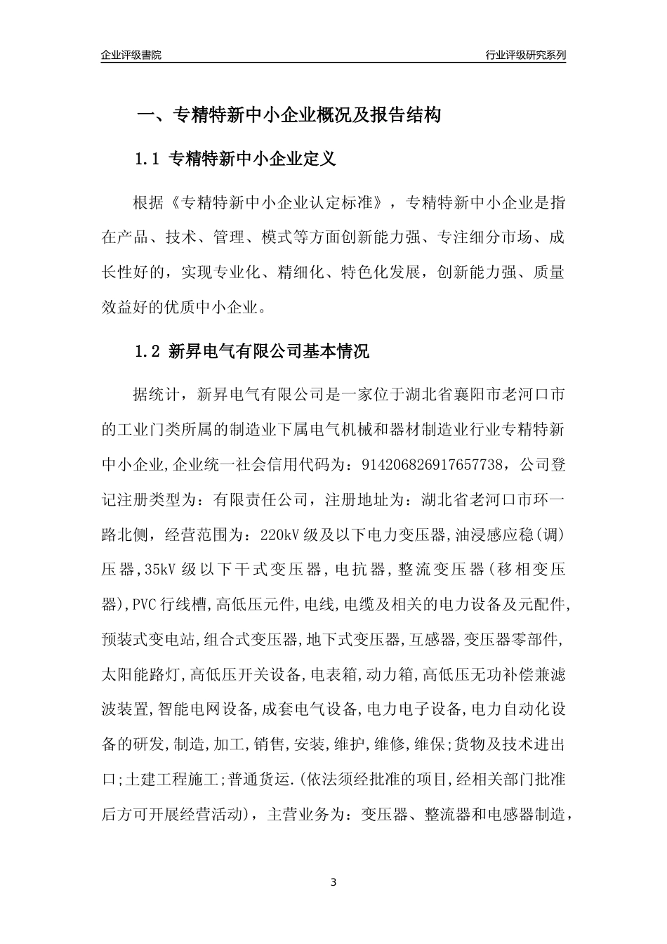 [专精特新]2022年新昇电气有限公司行业竞争力评级分析报告(2023版)_第3页