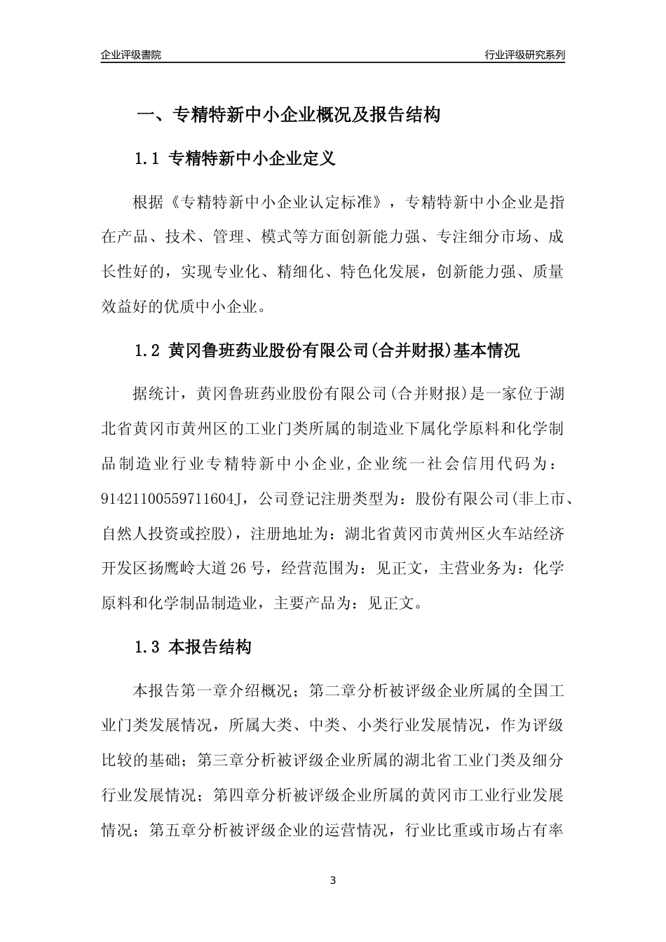 [专精特新]2022年黄冈鲁班药业股份有限公司(合并财报)行业竞争力评级分析报告(2023版)_第3页