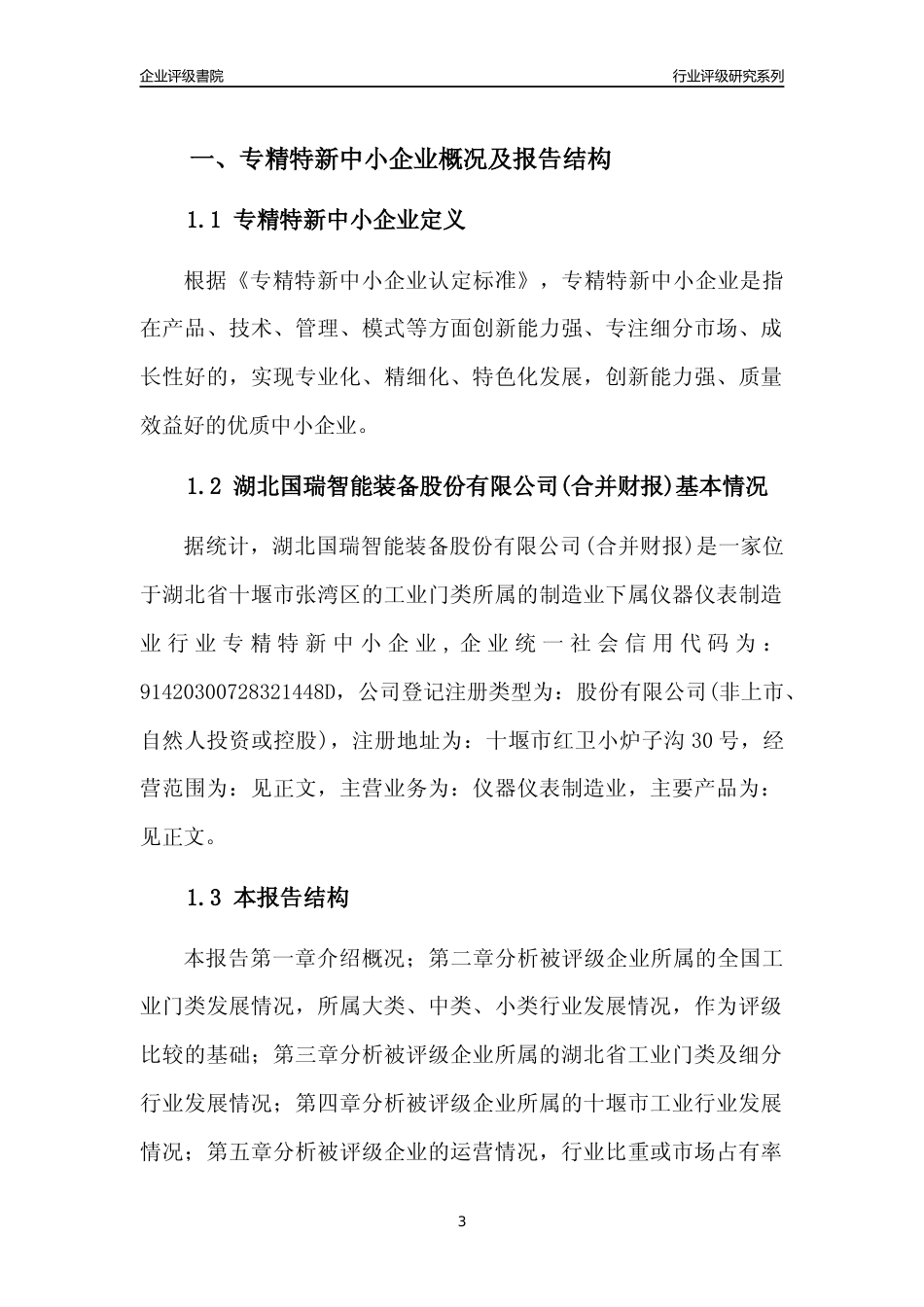 [专精特新]2022年湖北国瑞智能装备股份有限公司(合并财报)行业竞争力评级分析报告(2023版)_第3页