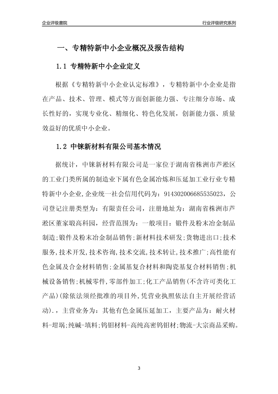 [专精特新]2022年中铼新材料有限公司行业竞争力评级分析报告(2023版)_第3页