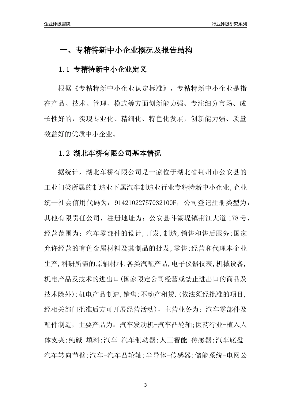 [专精特新]2022年湖北车桥有限公司行业竞争力评级分析报告(2023版)_第3页
