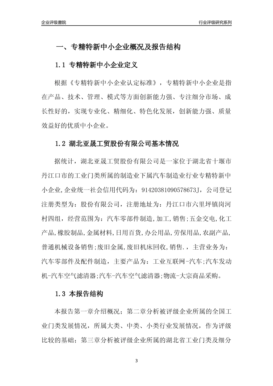 [专精特新]2022年湖北亚晟工贸股份有限公司行业竞争力评级分析报告(2023版)_第3页