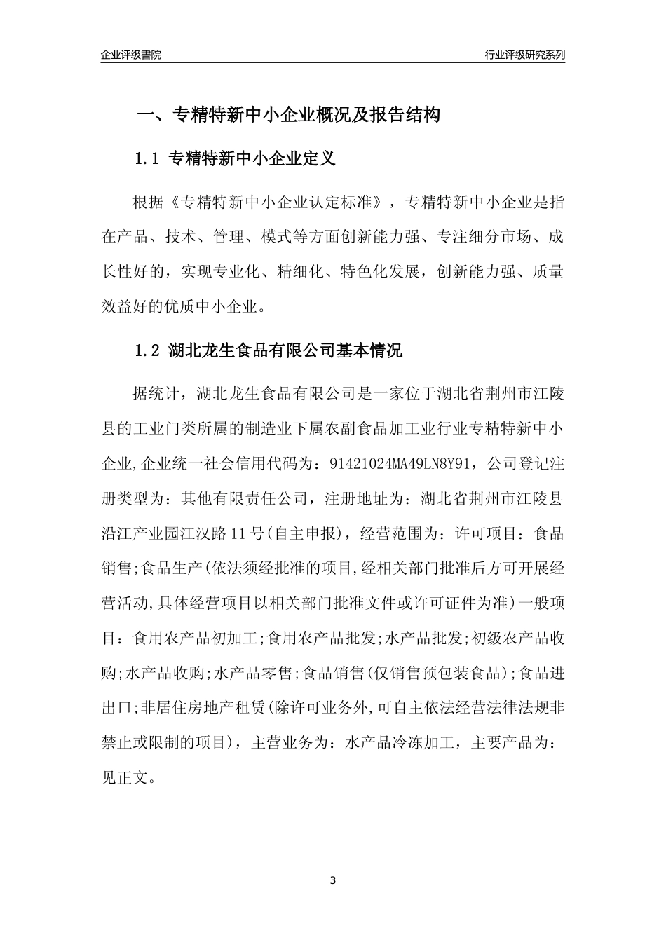 [专精特新]2022年湖北龙生食品有限公司行业竞争力评级分析报告(2023版)_第3页