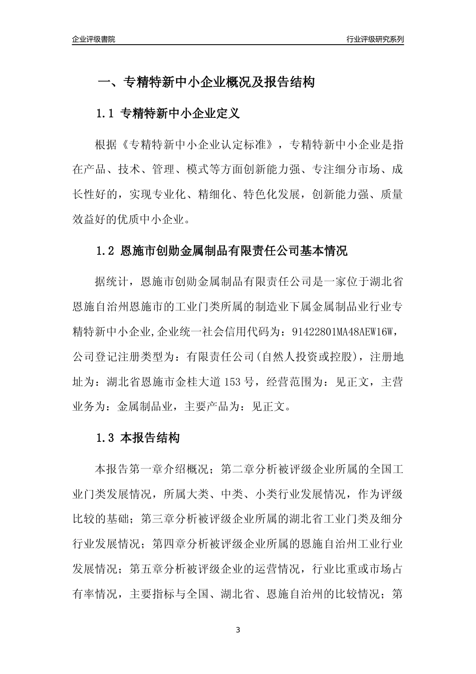 [专精特新]2022年恩施市创勋金属制品有限责任公司行业竞争力评级分析报告(2023版)_第3页