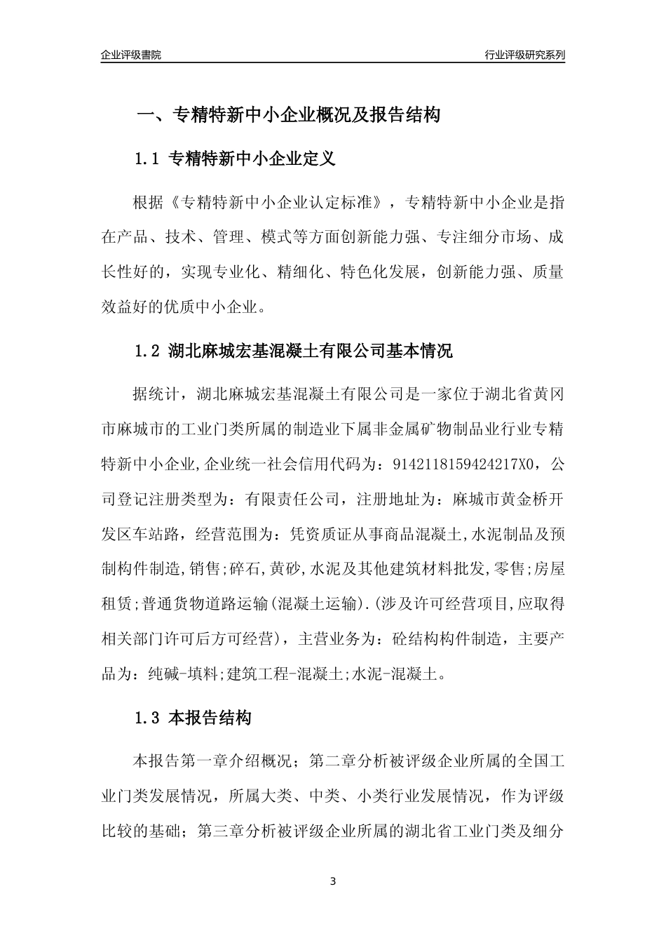 [专精特新]2022年湖北麻城宏基混凝土有限公司行业竞争力评级分析报告(2023版)_第3页