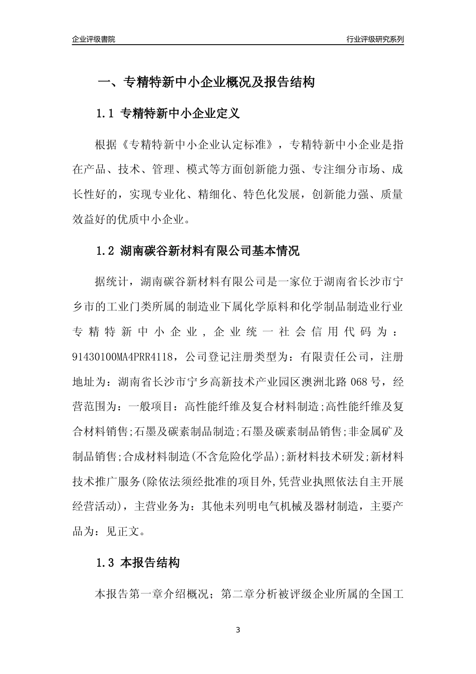 [专精特新]2022年湖南碳谷新材料有限公司行业竞争力评级分析报告(2023版)_第3页