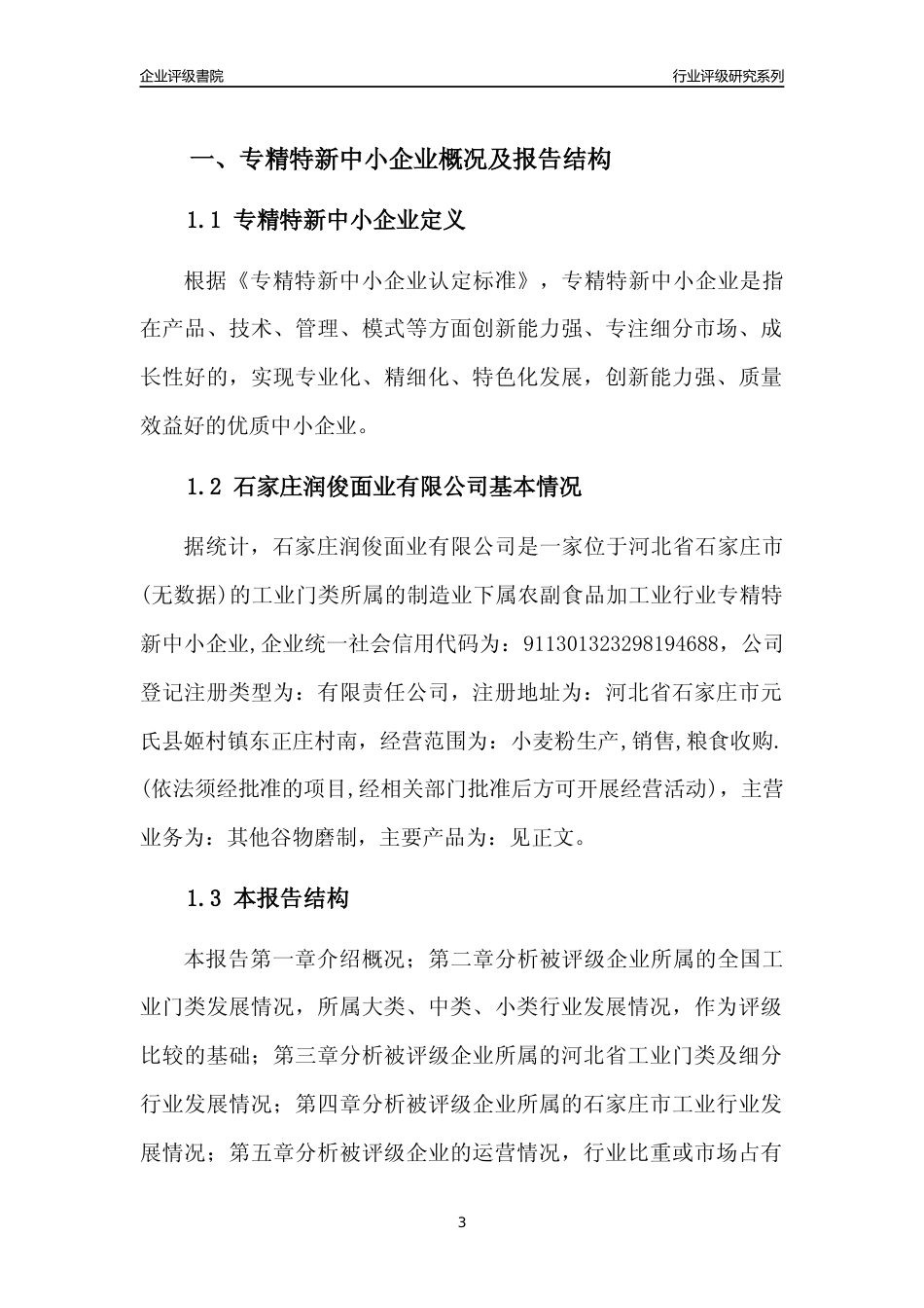 [专精特新]2022年石家庄润俊面业有限公司行业竞争力评级分析报告(2023版)_第3页