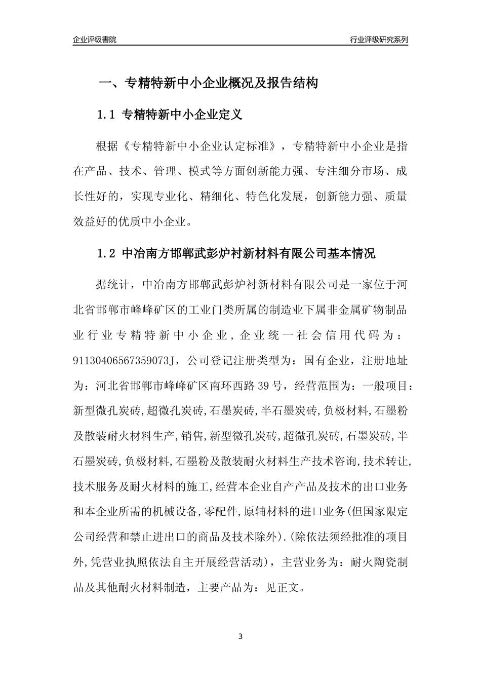 [专精特新]2022年中冶南方邯郸武彭炉衬新材料有限公司行业竞争力评级分析报告(2023版)_第3页