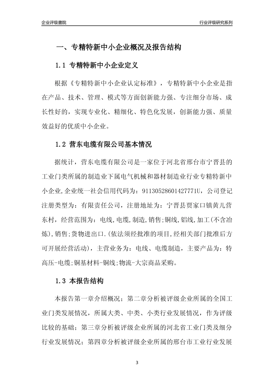 [专精特新]2022年营东电缆有限公司行业竞争力评级分析报告(2023版)_第3页