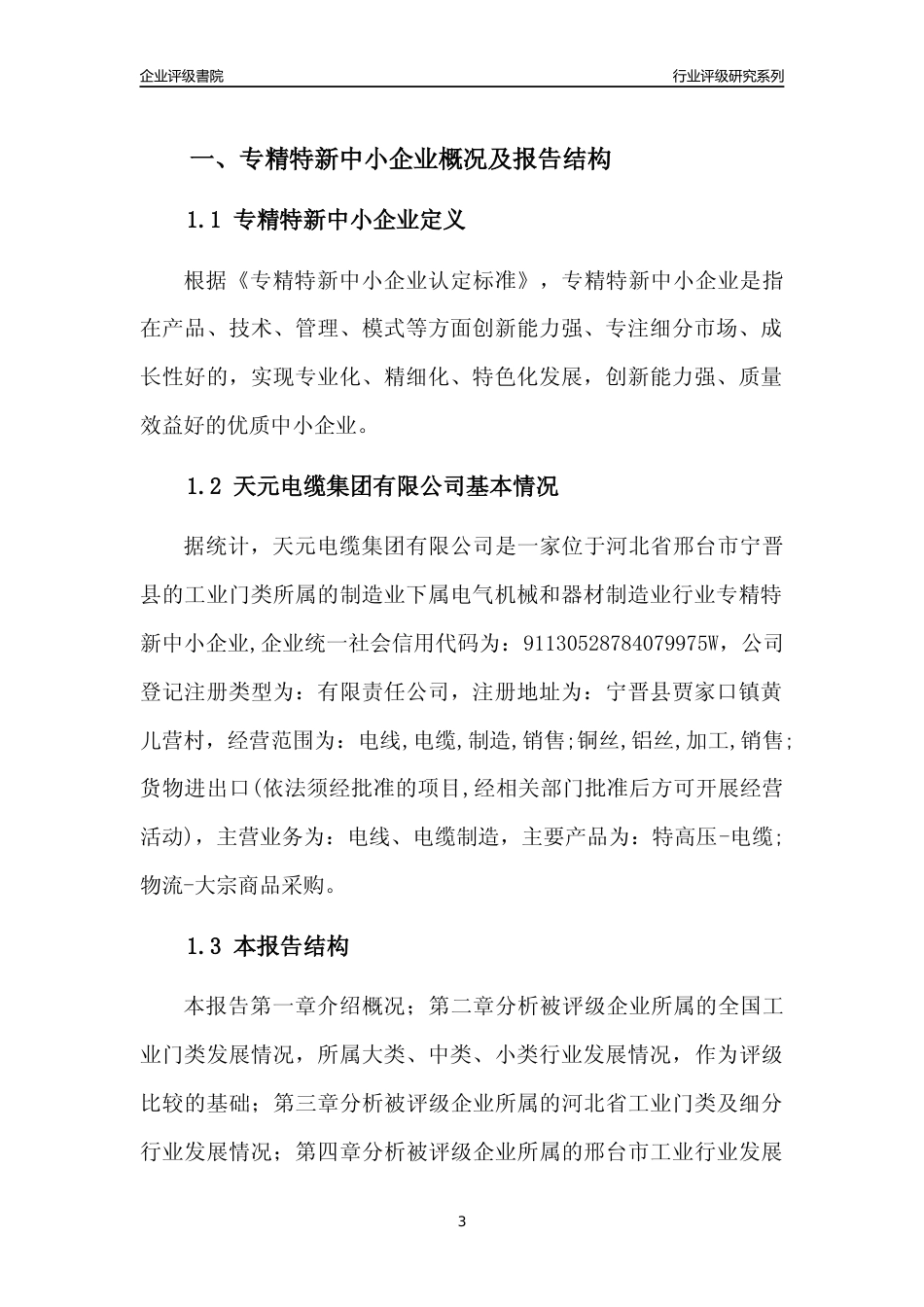 [专精特新]2022年天元电缆集团有限公司行业竞争力评级分析报告(2023版)_第3页
