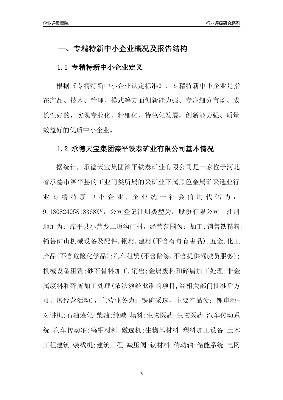[专精特新]2022年承德天宝集团滦平铁泰矿业有限公司行业竞争力评级分析报告(2023版)_第3页