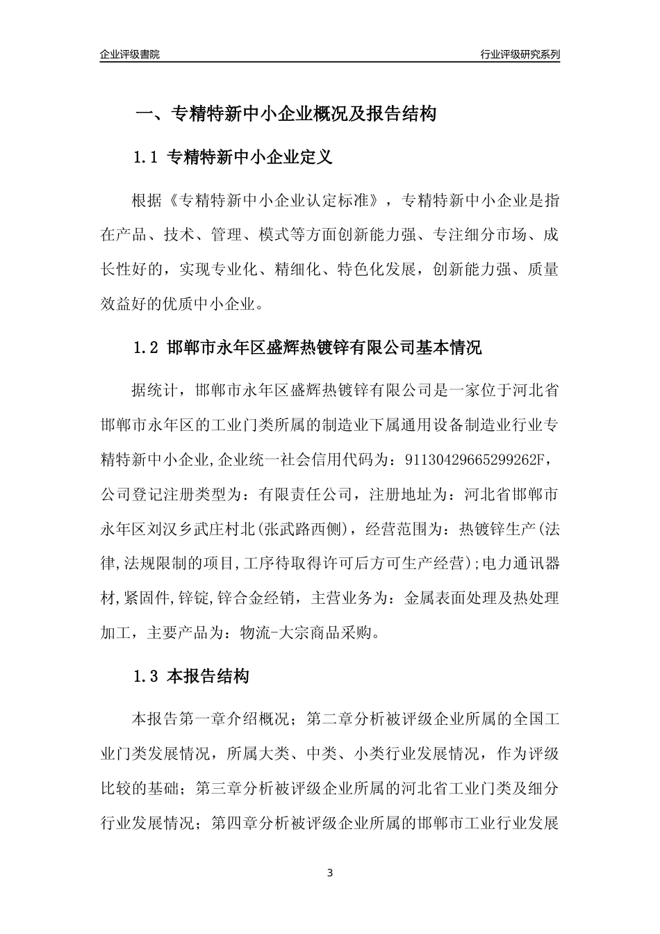 [专精特新]2022年邯郸市永年区盛辉热镀锌有限公司行业竞争力评级分析报告(2023版)_第3页