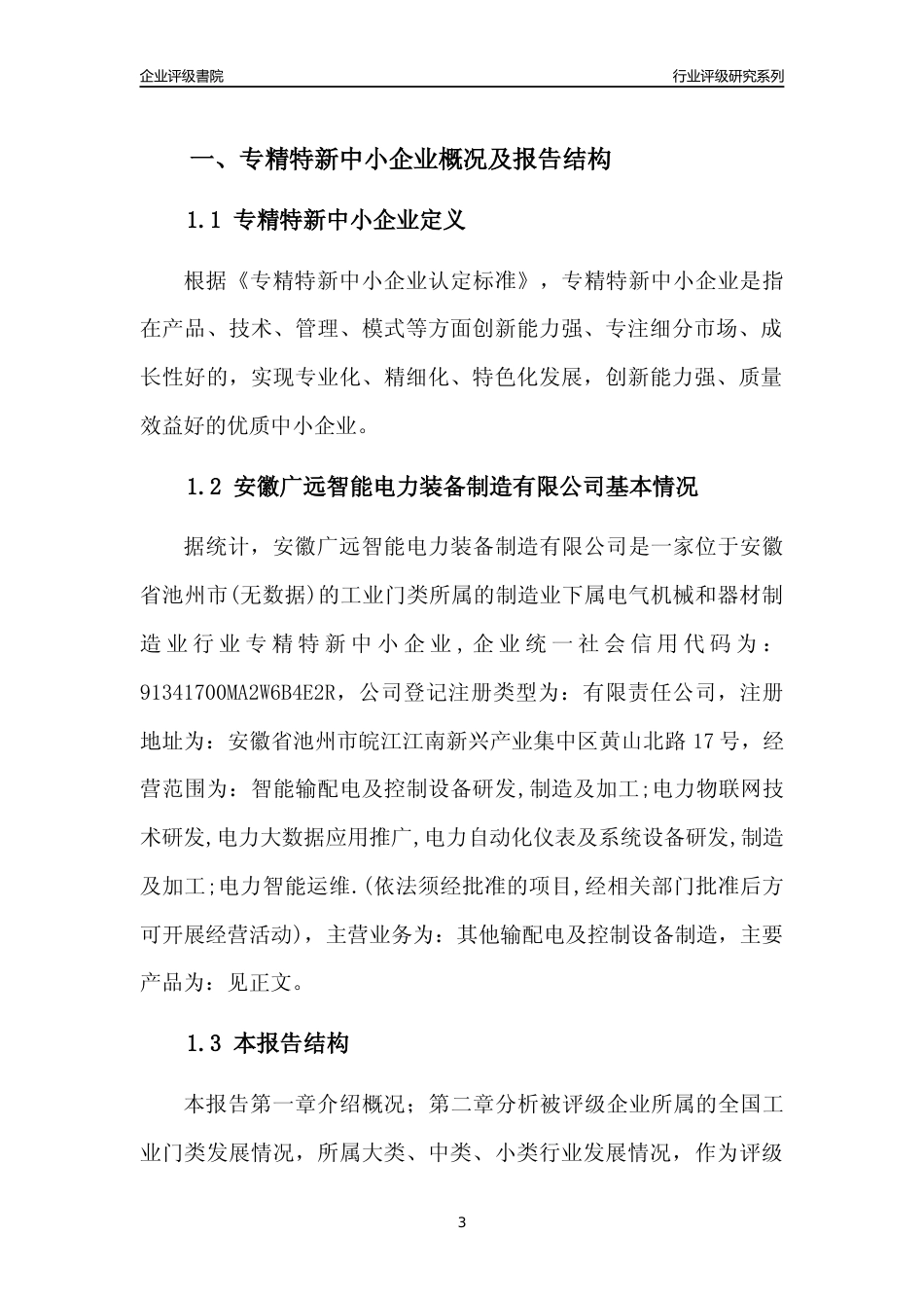[专精特新]2022年安徽广远智能电力装备制造有限公司行业竞争力评级分析报告(2023版)_第3页