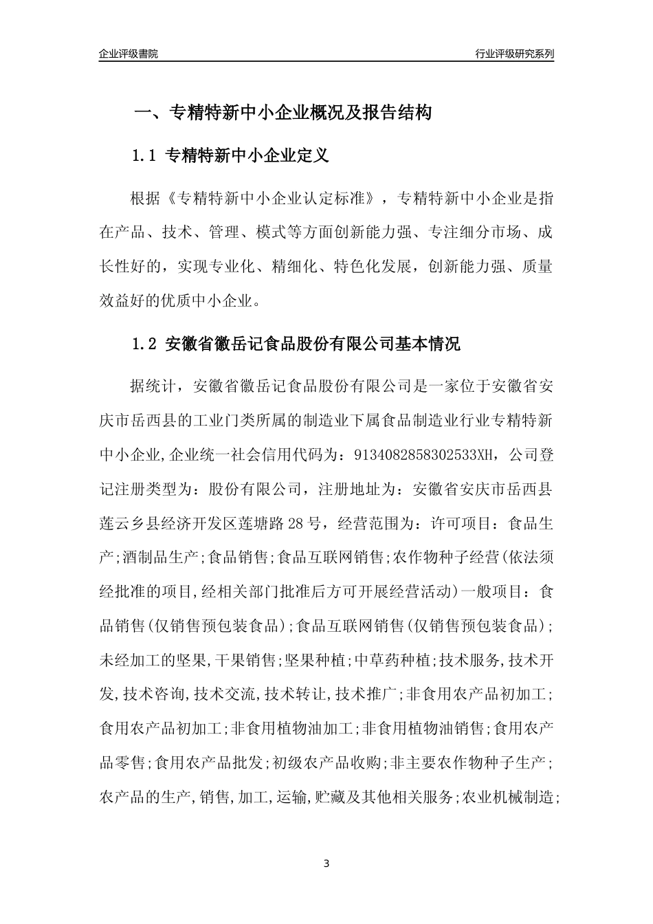 [专精特新]2022年安徽省徽岳记食品股份有限公司行业竞争力评级分析报告(2023版)_第3页