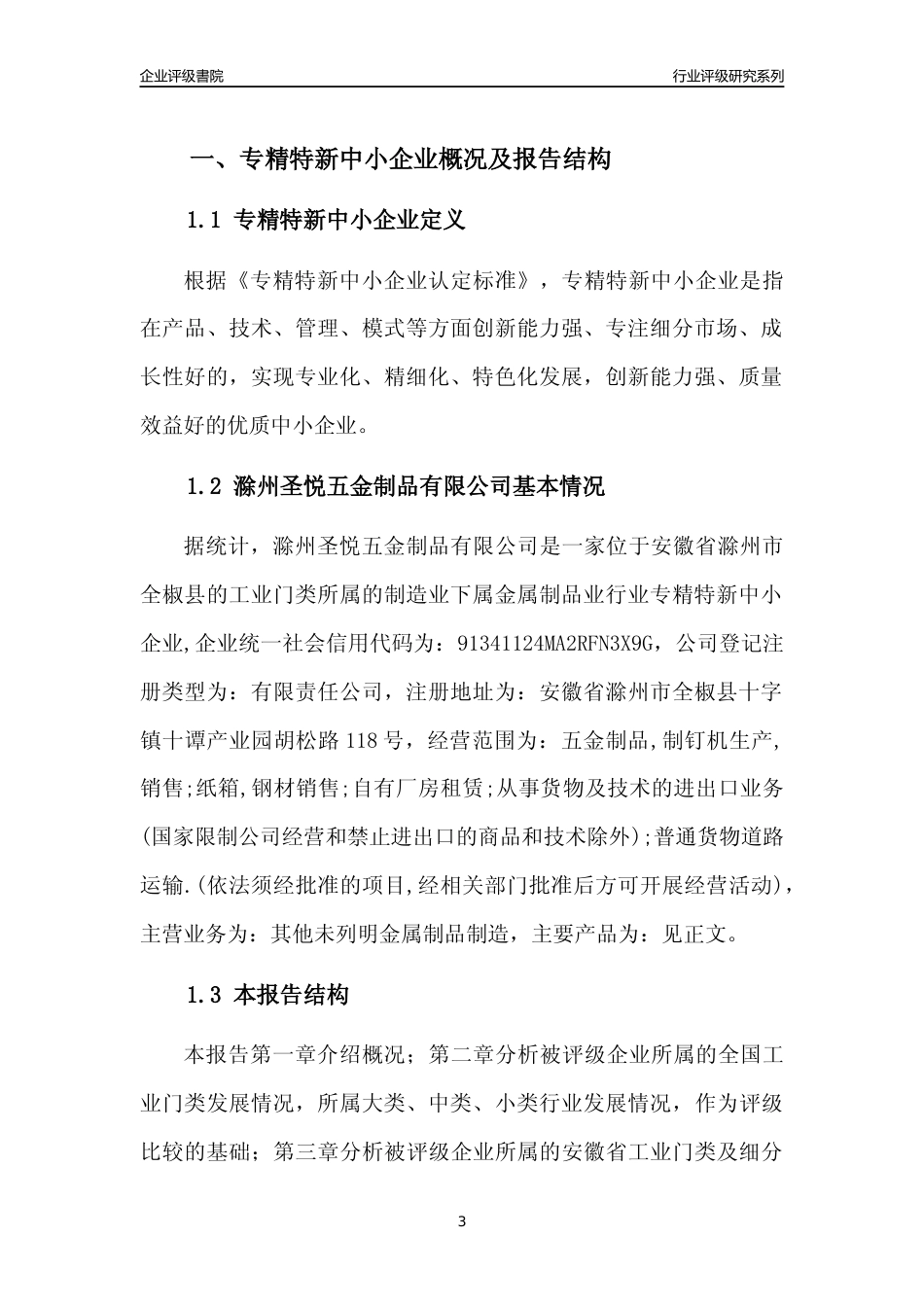 [专精特新]2022年滁州圣悦五金制品有限公司行业竞争力评级分析报告(2023版)_第3页