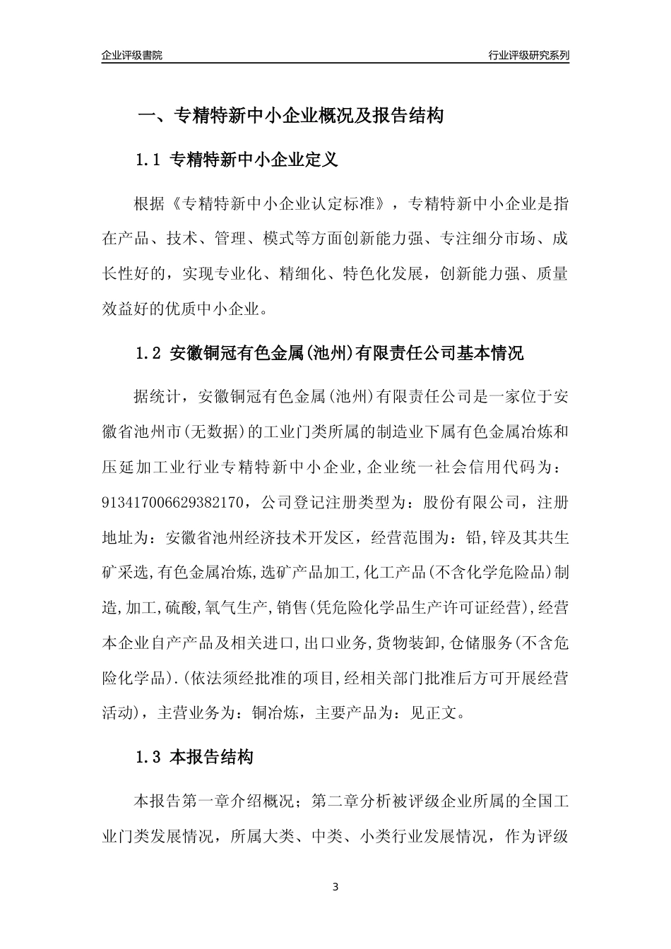 [专精特新]安徽铜冠有色金属(池州)有限责任公司行业竞争力评级分析报告(2023版)_第3页