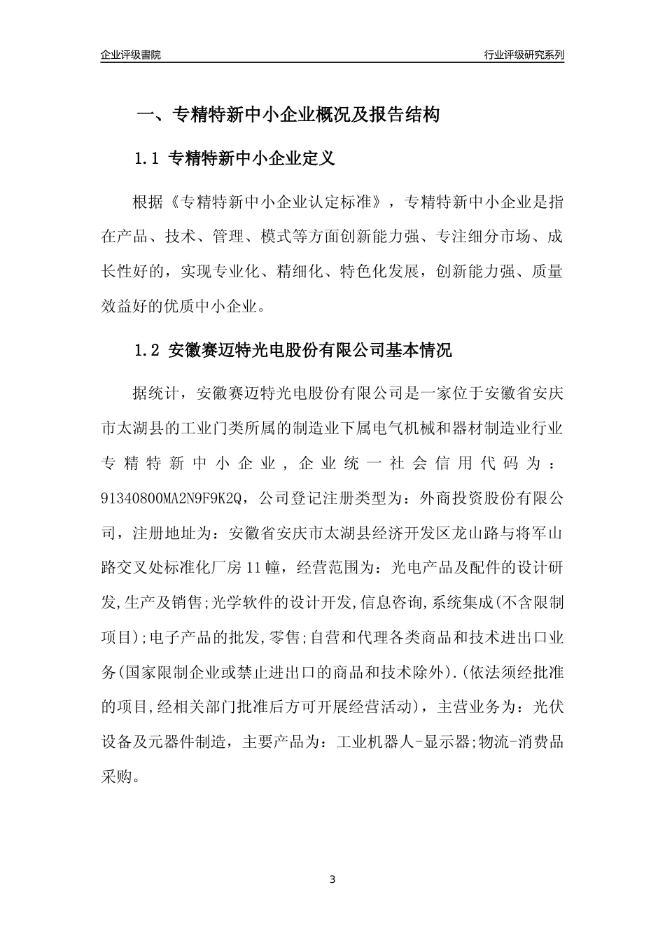 [专精特新]安徽赛迈特光电股份有限公司行业竞争力评级分析报告(2023版)_第3页