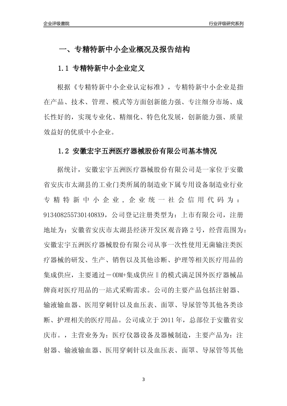 [专精特新]2022年安徽宏宇五洲医疗器械股份有限公司行业竞争力评级分析报告(2023版)_第3页