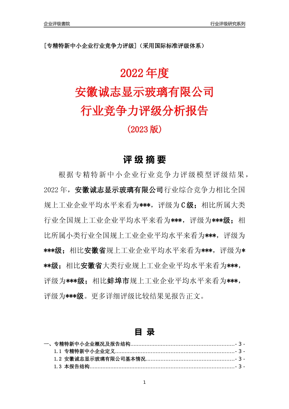 [专精特新]2022年安徽诚志显示玻璃有限公司行业竞争力评级分析报告(2023版)_第1页