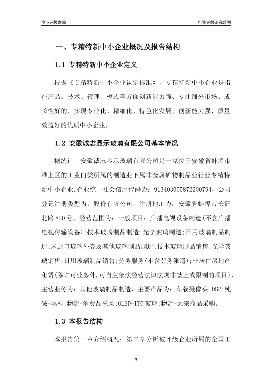 [专精特新]2022年安徽诚志显示玻璃有限公司行业竞争力评级分析报告(2023版)_第3页