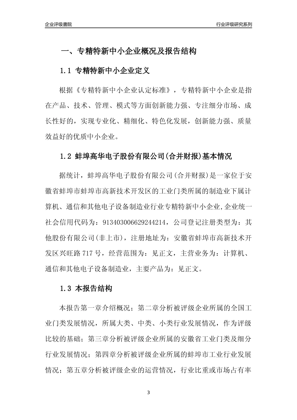 [专精特新]2022年蚌埠高华电子股份有限公司(合并财报)行业竞争力评级分析报告(2023版)_第3页