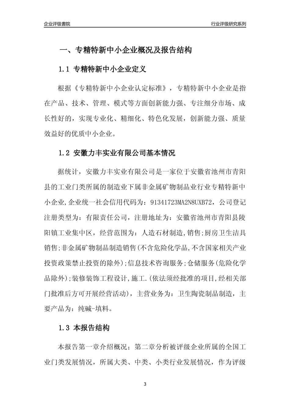 [专精特新]安徽力丰实业有限公司行业竞争力评级分析报告(2023版)_第3页