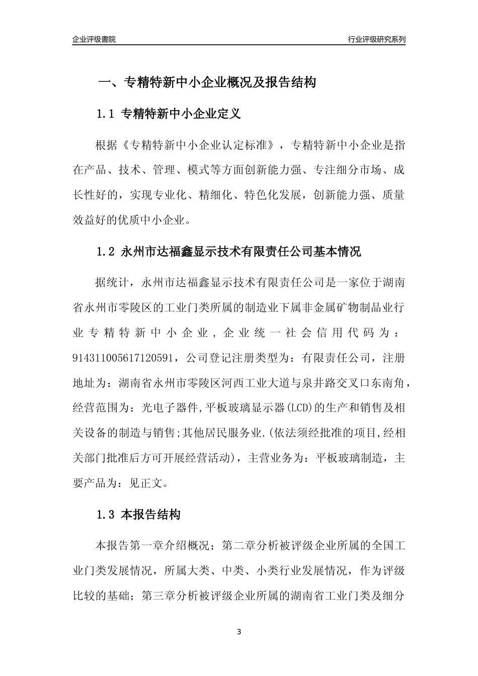 [专精特新]2022年永州市达福鑫显示技术有限责任公司行业竞争力评级分析报告(2023版)_第3页