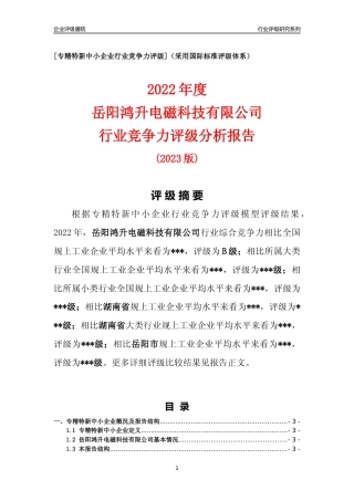 [专精特新]岳阳鸿升电磁科技有限公司行业竞争力评级分析报告(2023版)