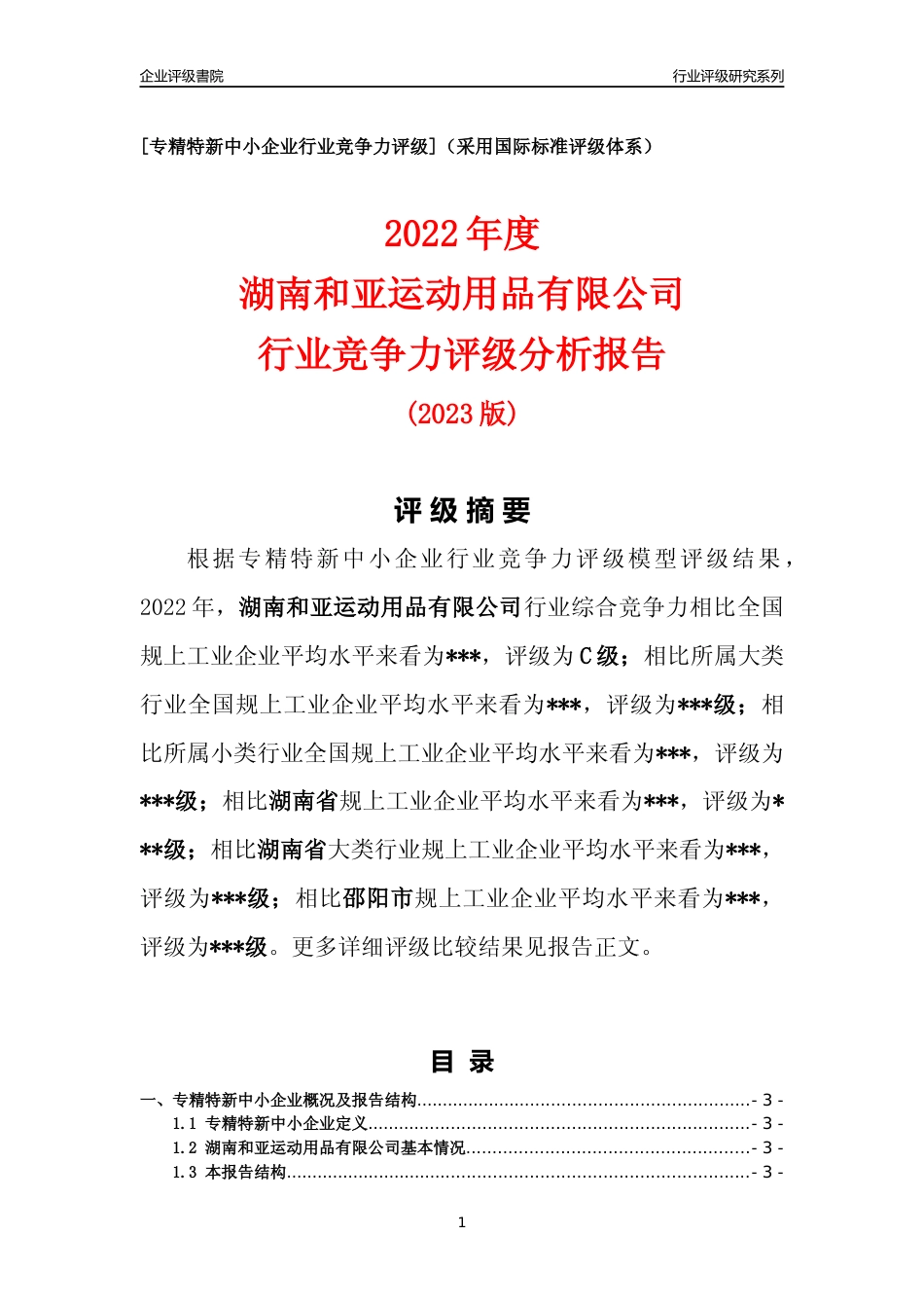 [专精特新]湖南和亚运动用品有限公司行业竞争力评级分析报告(2023版)_第1页