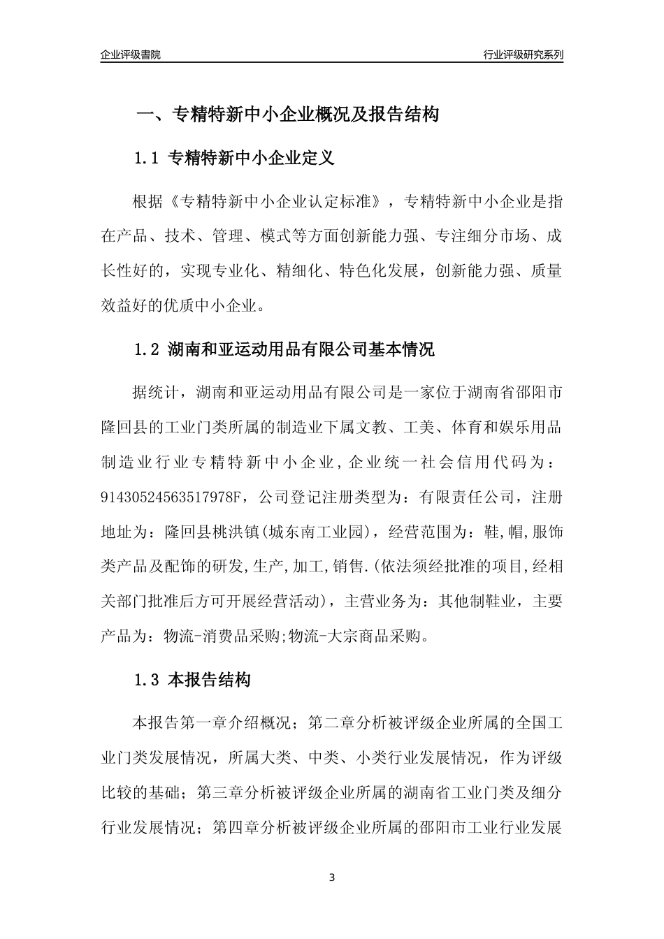 [专精特新]湖南和亚运动用品有限公司行业竞争力评级分析报告(2023版)_第3页