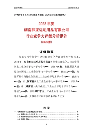 [专精特新]湖南和亚运动用品有限公司行业竞争力评级分析报告(2023版)