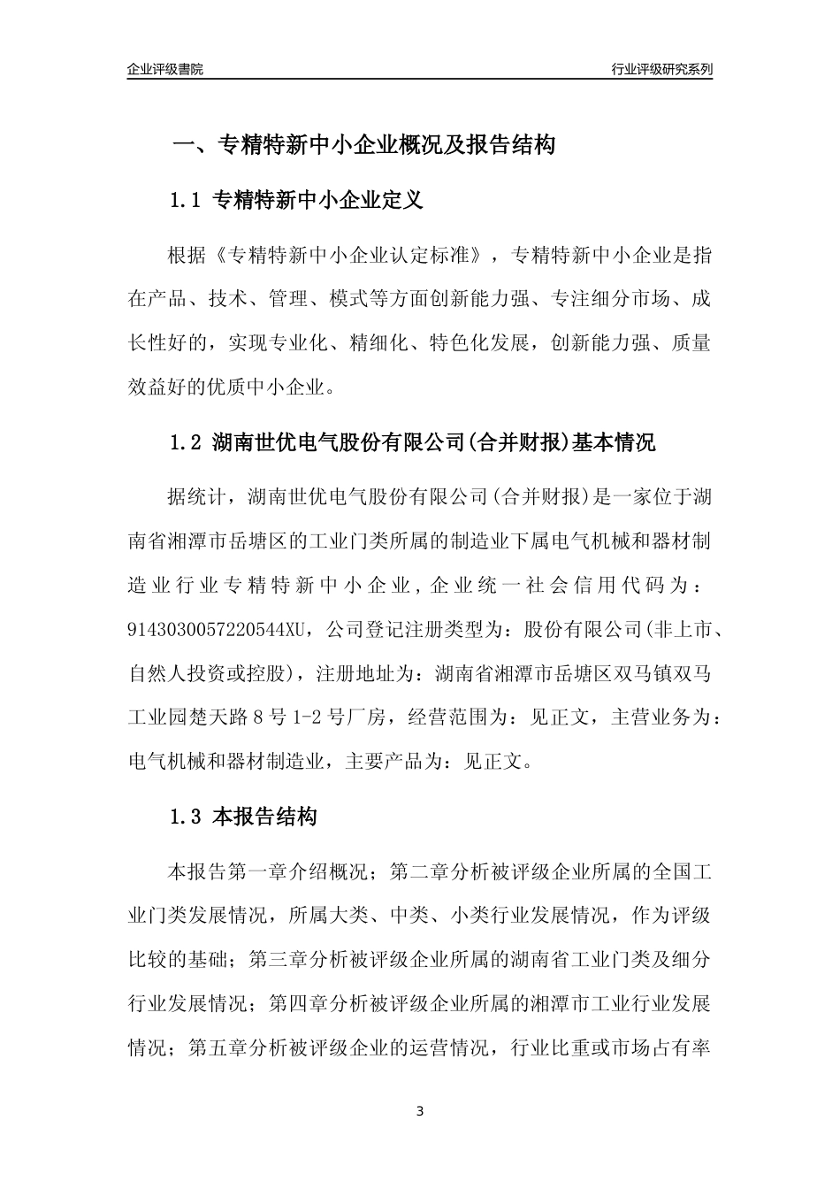 [专精特新]2022年湖南世优电气股份有限公司(合并财报)行业竞争力评级分析报告(2023版)_第3页