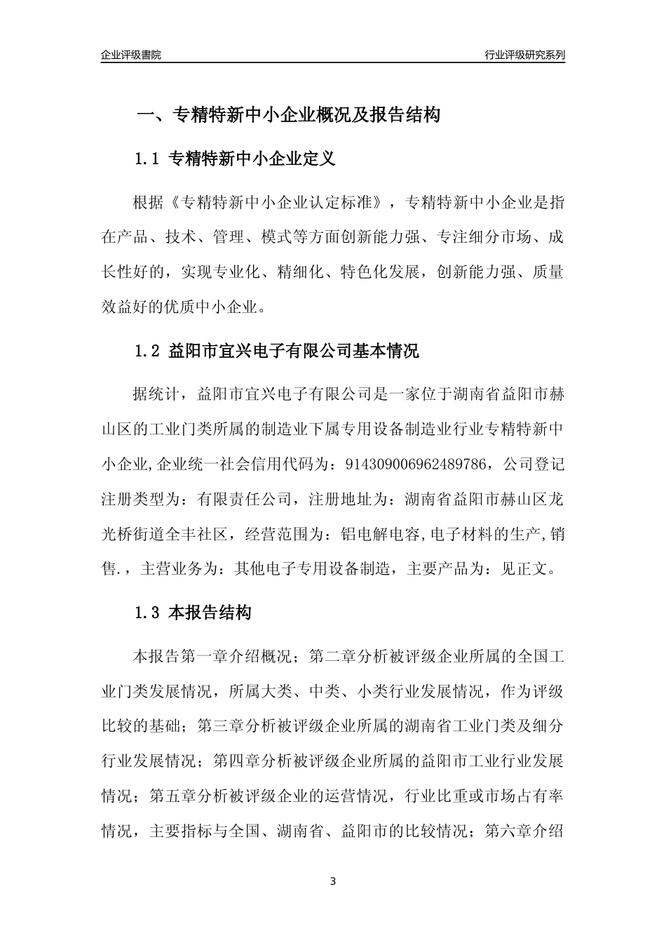 [专精特新]益阳市宜兴电子有限公司行业竞争力评级分析报告(2023版)_第3页