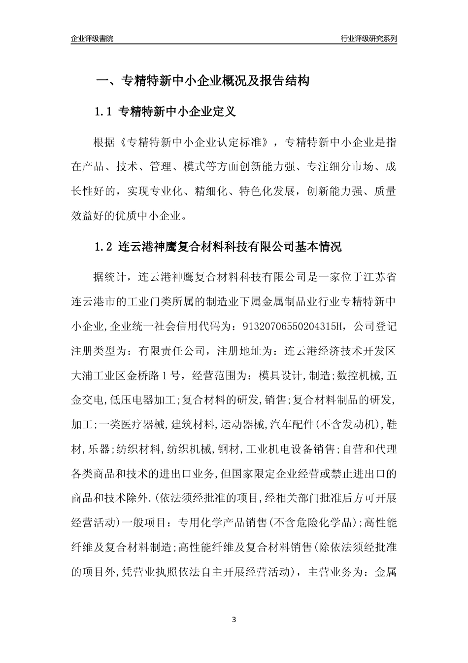 [专精特新]2022年连云港神鹰复合材料科技有限公司行业竞争力评级分析报告(2023版)_第3页