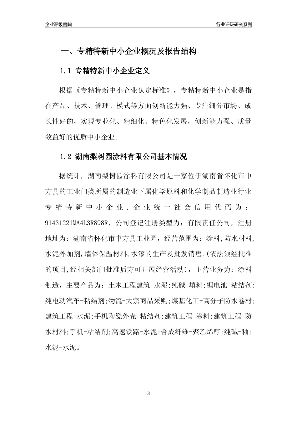 [专精特新]2022年湖南梨树园涂料有限公司行业竞争力评级分析报告(2023版)_第3页